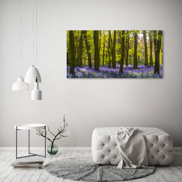 Acrylglas-Druck Wald im Frühling