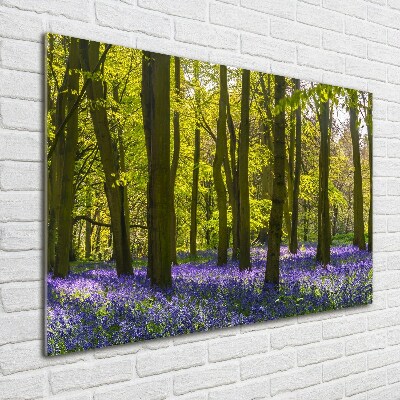 Acrylglas-Druck Wald im Frühling