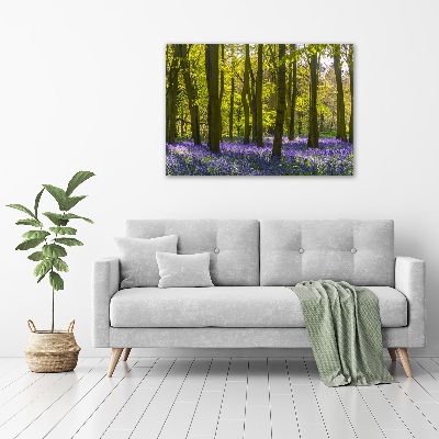 Acrylglas-Druck Wald im Frühling