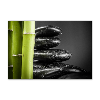 Acrylbild Fotodruck Bambus