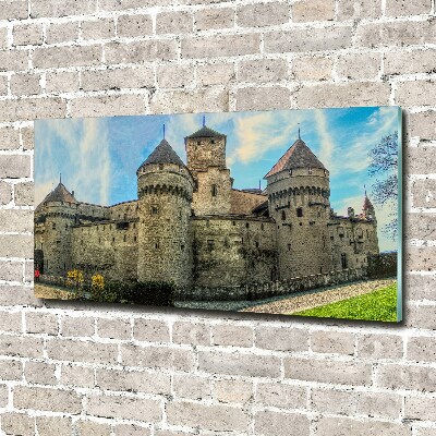 Foto auf Acryl Ein Schloss in der Schweiz