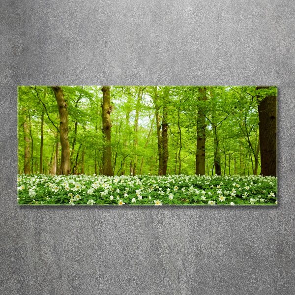 Bild auf Acrylglas Blumen im Wald