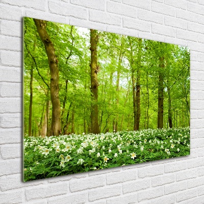 Bild auf Acrylglas Blumen im Wald
