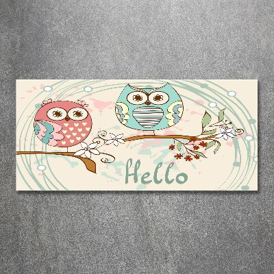 Foto auf Acryl Eulen