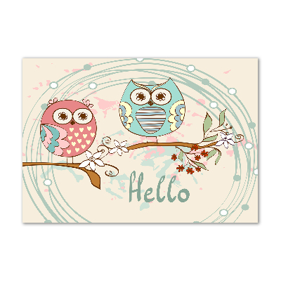 Foto auf Acryl Eulen