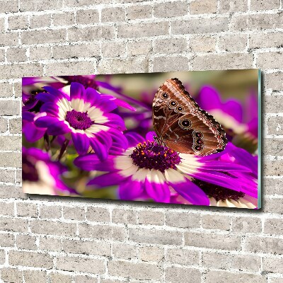 Foto auf Acryl Schmetterling auf einer Blume