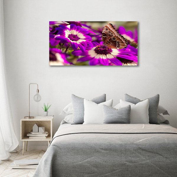 Foto auf Acryl Schmetterling auf einer Blume