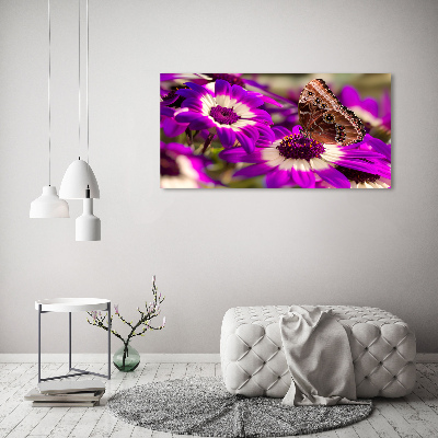 Foto auf Acryl Schmetterling auf einer Blume