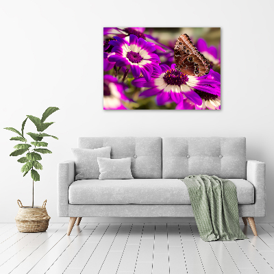 Foto auf Acryl Schmetterling auf einer Blume