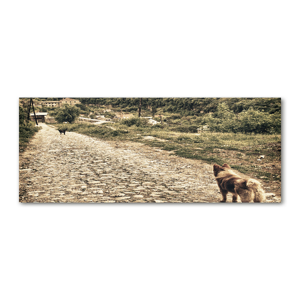 Bild auf Acrylglas Zwei Hunde auf einem Hügel