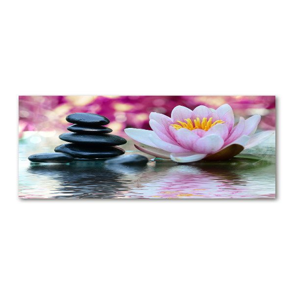 Bild auf Acrylglas Seerose