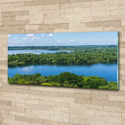 Foto auf Acryl Wald am See