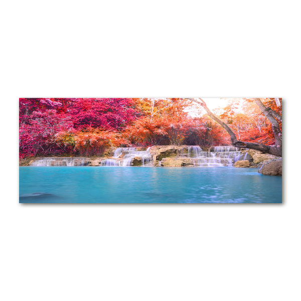 Bild auf Acrylglas Wasserfall im Wald