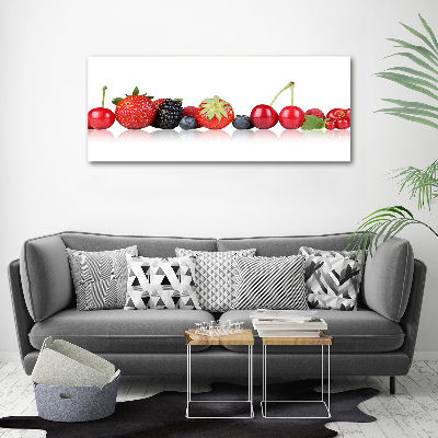 Acrylbild Fotodruck Früchte in einer Reihe