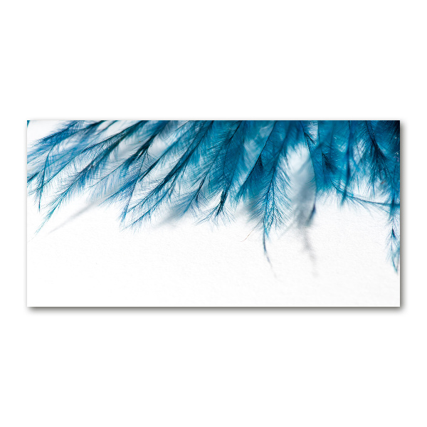Acrylbild Fotodruck Blaue Federn