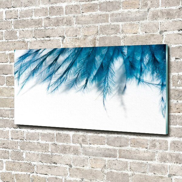 Acrylbild Fotodruck Blaue Federn
