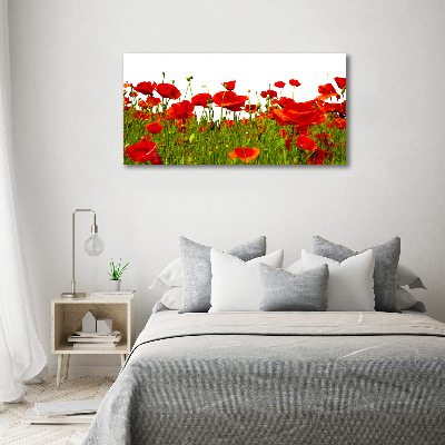 Bild auf Acrylglas Wildmohn
