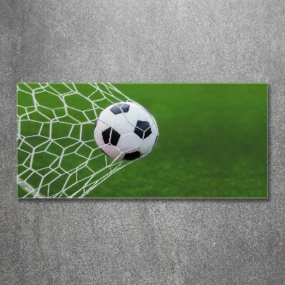 Foto auf Acryl Der Ball ist im Tor