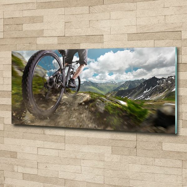 Bild auf Acrylglas Mountainbiken