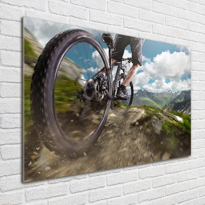 Bild auf Acrylglas Mountainbiken