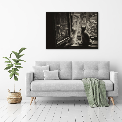 Acrylglas-Druck Katzen am Fenster