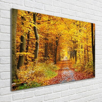 Acrylbild Fotodruck Wald im Herbst