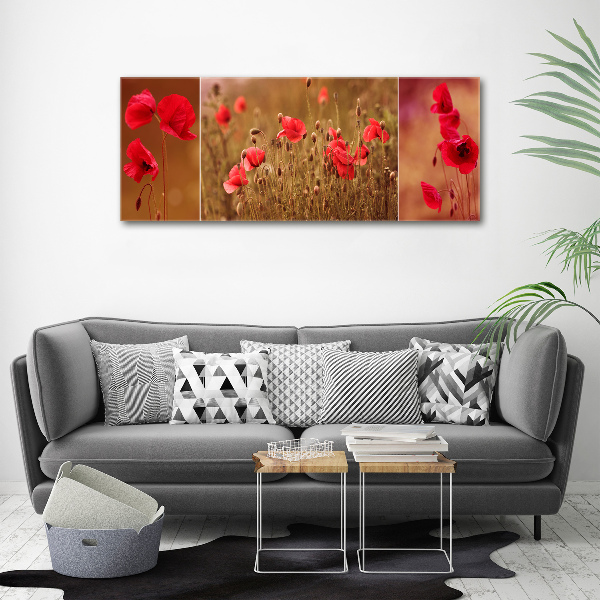 Foto auf Acryl Mohnblumen-Triptychon