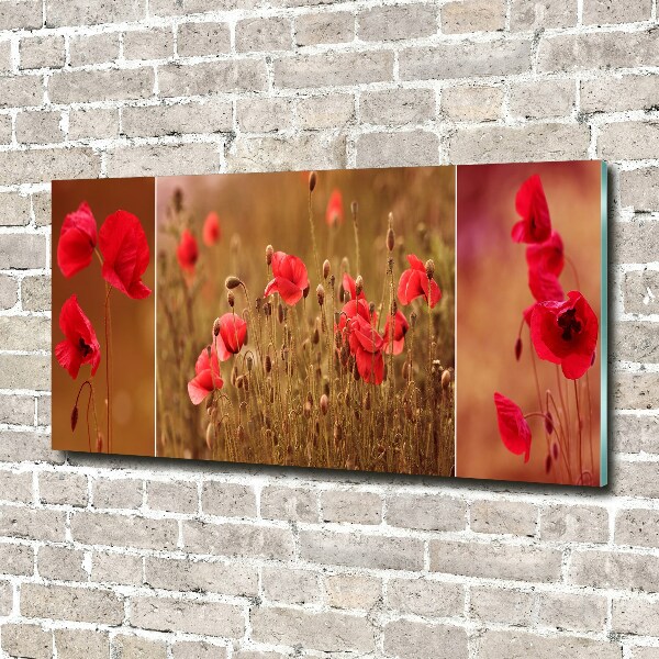 Foto auf Acryl Mohnblumen-Triptychon