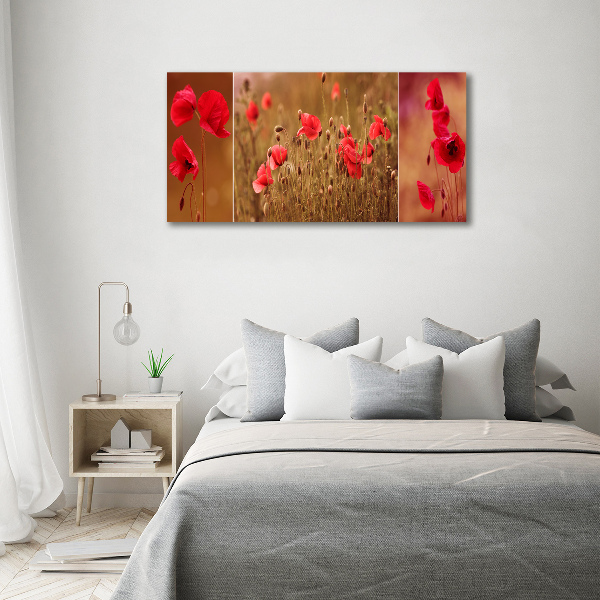 Foto auf Acryl Mohnblumen-Triptychon