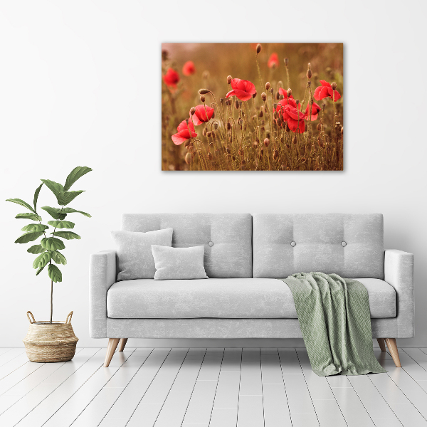 Foto auf Acryl Mohnblumen-Triptychon