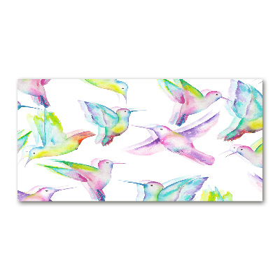 Acrylbild Fotodruck Kolibris