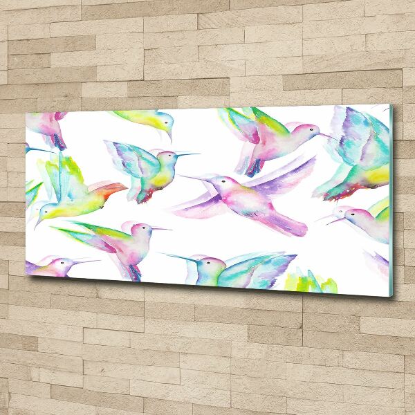 Acrylbild Fotodruck Kolibris