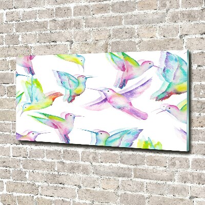 Acrylbild Fotodruck Kolibris