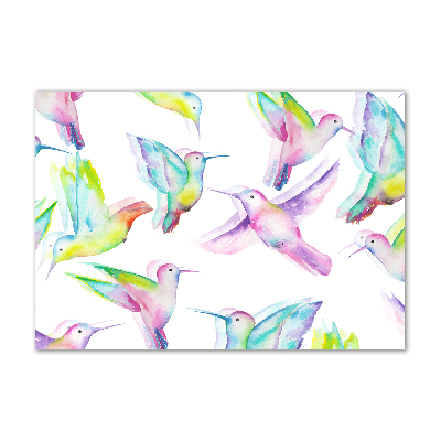 Acrylbild Fotodruck Kolibris