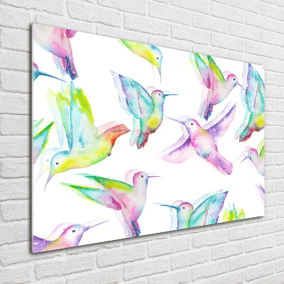 Acrylbild Fotodruck Kolibris