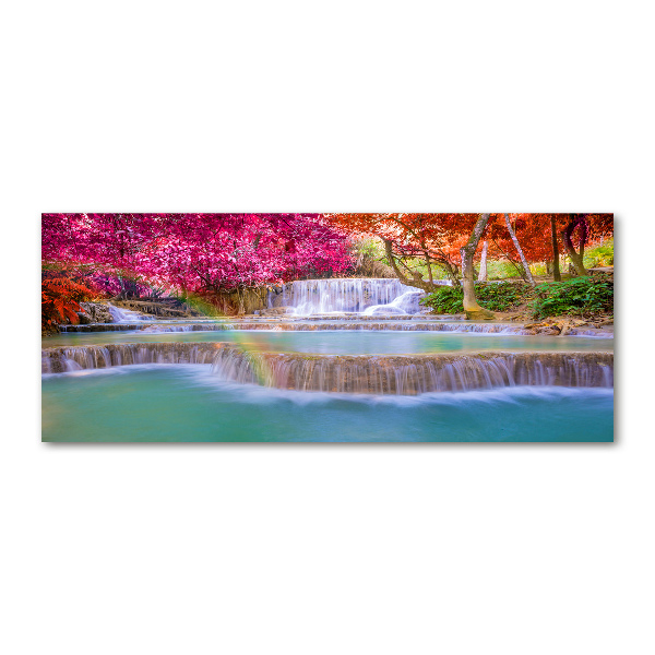 Foto auf Acryl Wasserfall im Wald