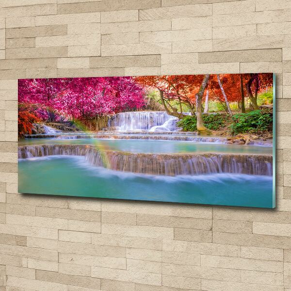 Foto auf Acryl Wasserfall im Wald