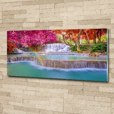 Foto auf Acryl Wasserfall im Wald