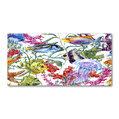 Acrylglas-Druck Korallenriff