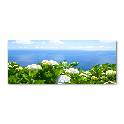 Acrylbild Fotodruck Blumen am Meer