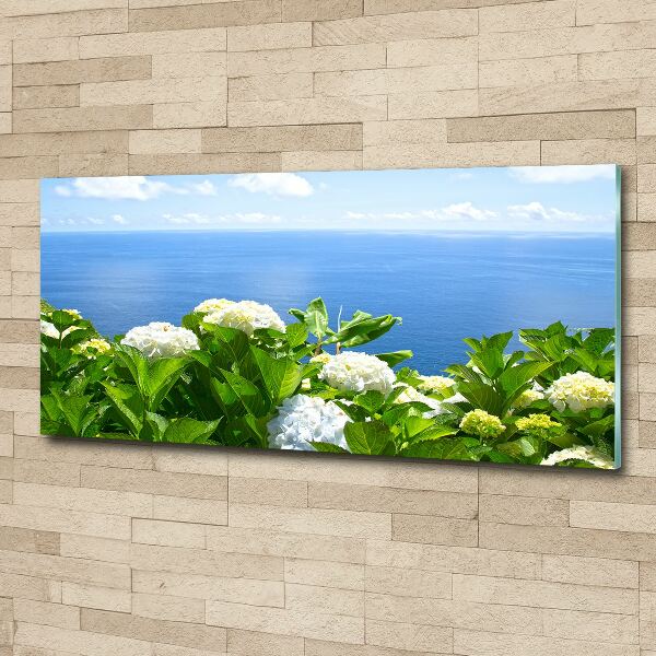 Acrylbild Fotodruck Blumen am Meer