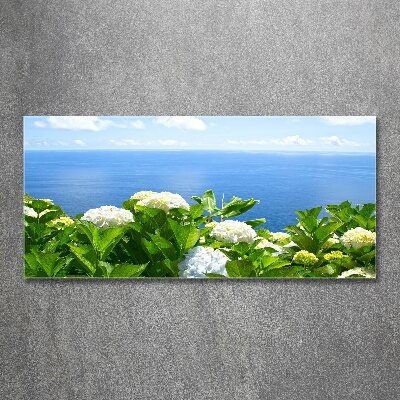 Acrylbild Fotodruck Blumen am Meer