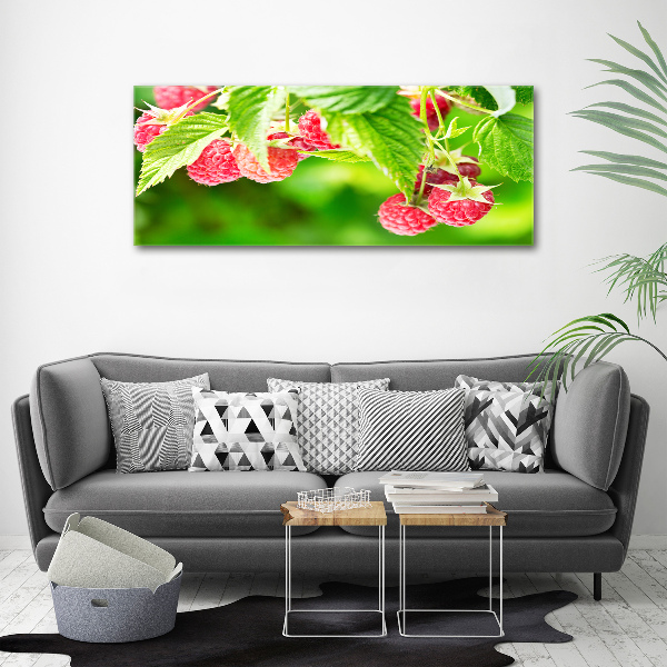 Acrylbild Fotodruck Himbeeren im Garten