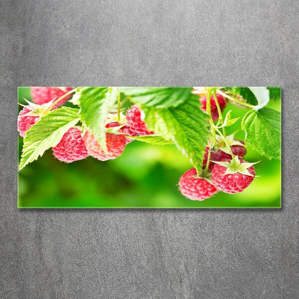 Acrylbild Fotodruck Himbeeren im Garten