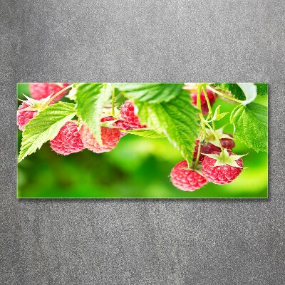 Acrylbild Fotodruck Himbeeren im Garten