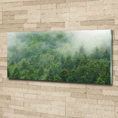 Bild auf Acrylglas geheimnisvoller Wald
