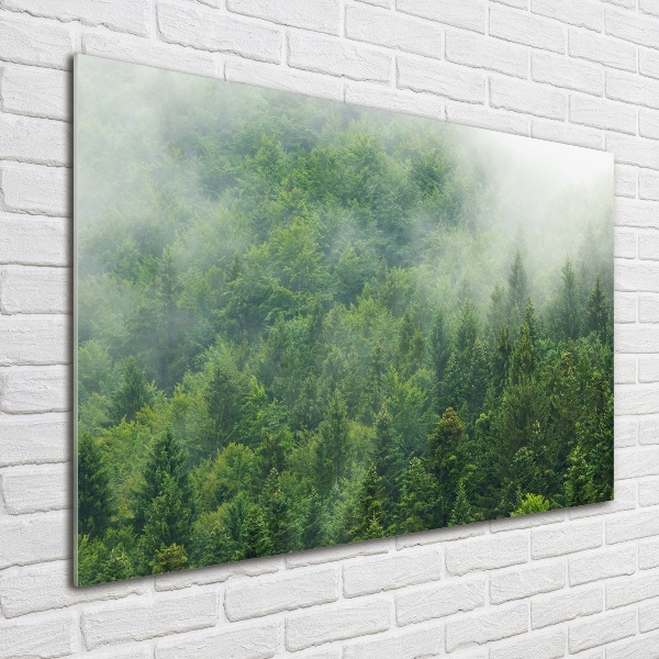 Bild auf Acrylglas geheimnisvoller Wald