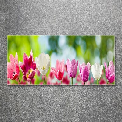 Acrylbild Fotodruck Tulpen