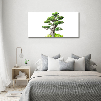 Acrylglas-Druck Bonsai-Baum