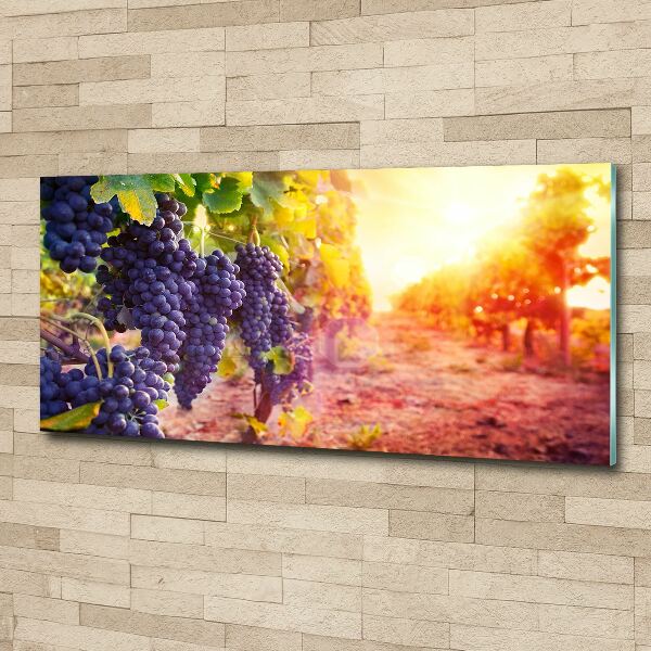 Foto auf Acryl Weinreben